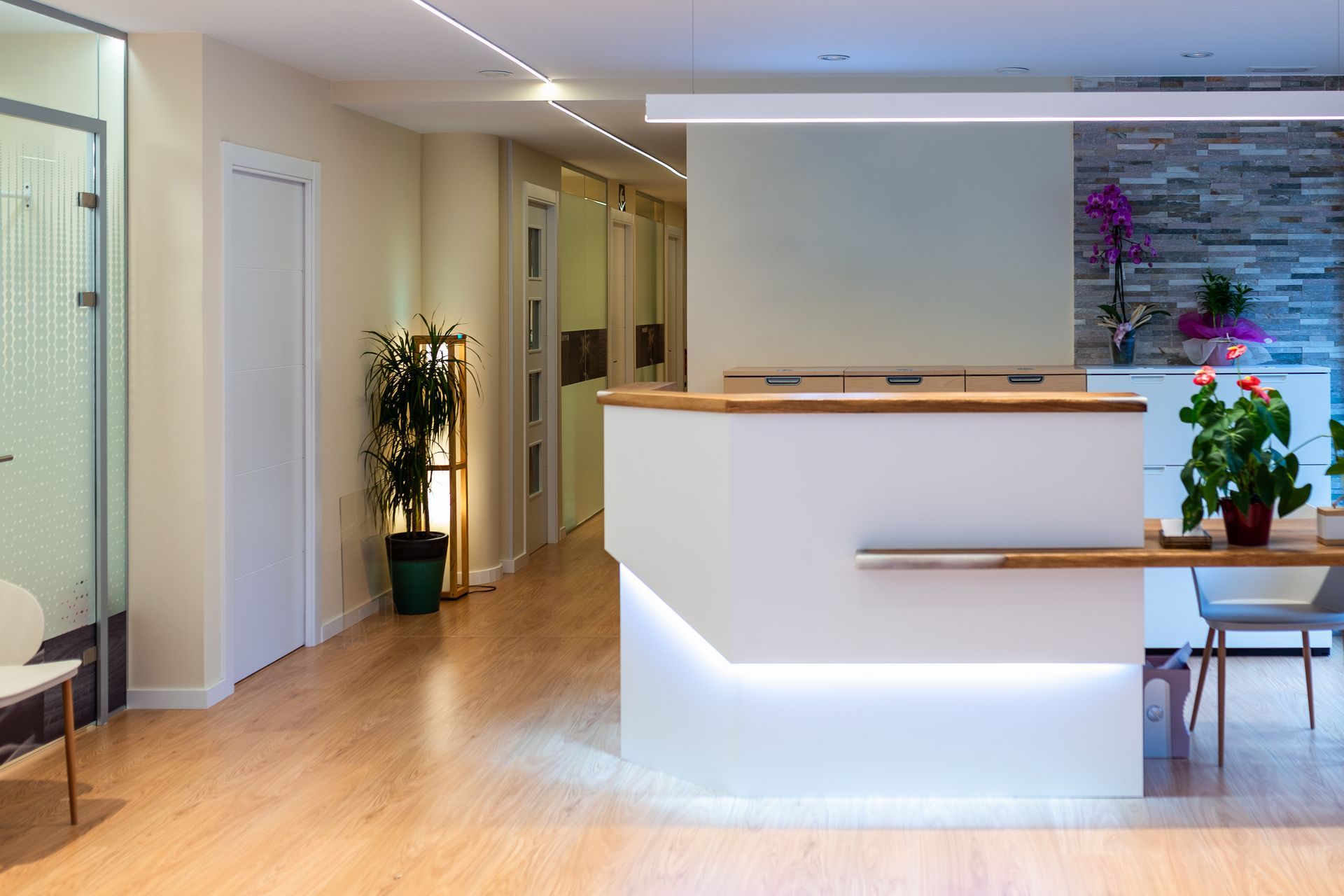 Modern, bright office reception area with white desk, wooden accents, and potted plants.
