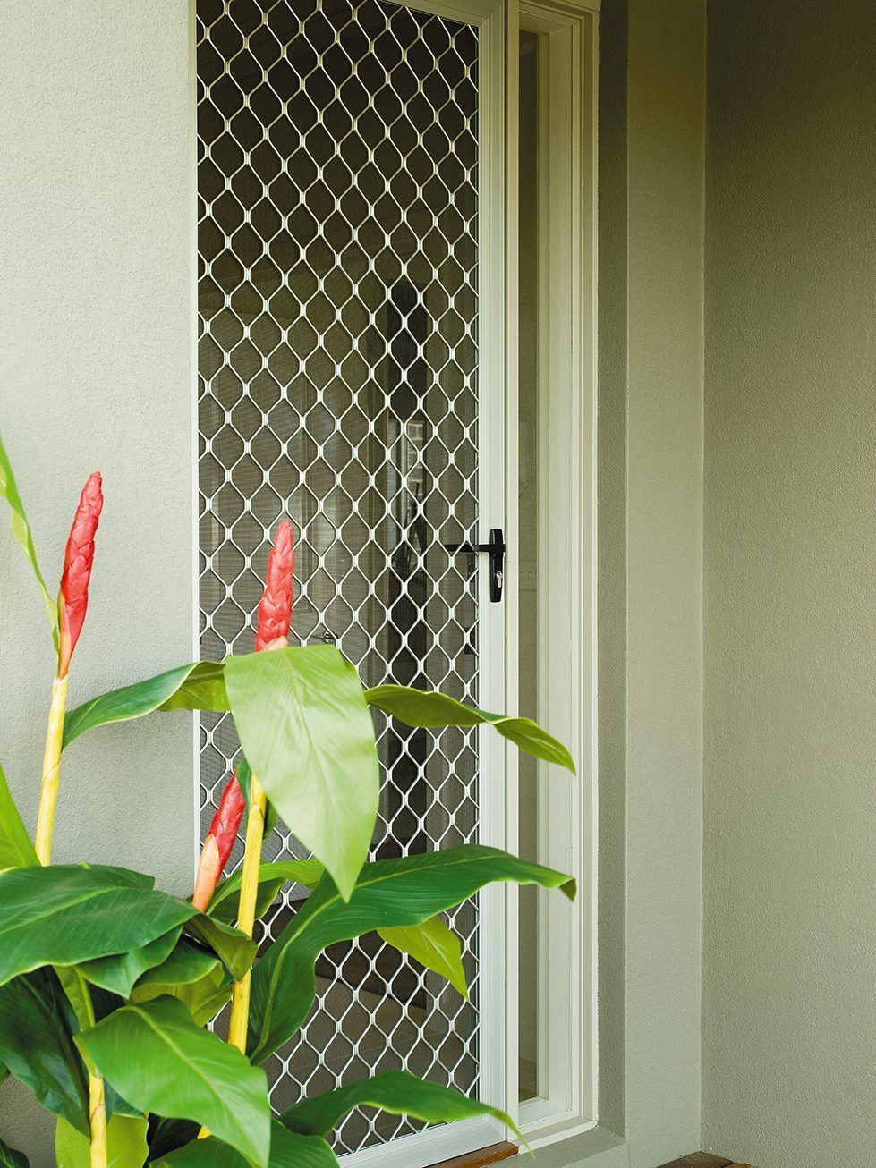 A Plant With Red Flowers Is In Front Of A Screen Door — Eastcoast Aluminium & Glass In Ballina, NSW
