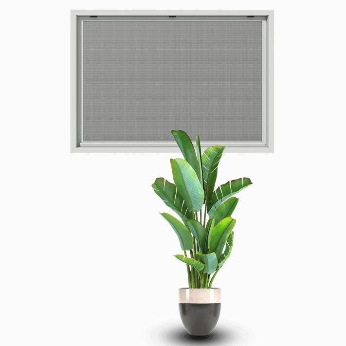 A Potted Plant Is Sitting In Front Of A Window With A Screen — Eastcoast Aluminium & Glass In Ballina, NSW