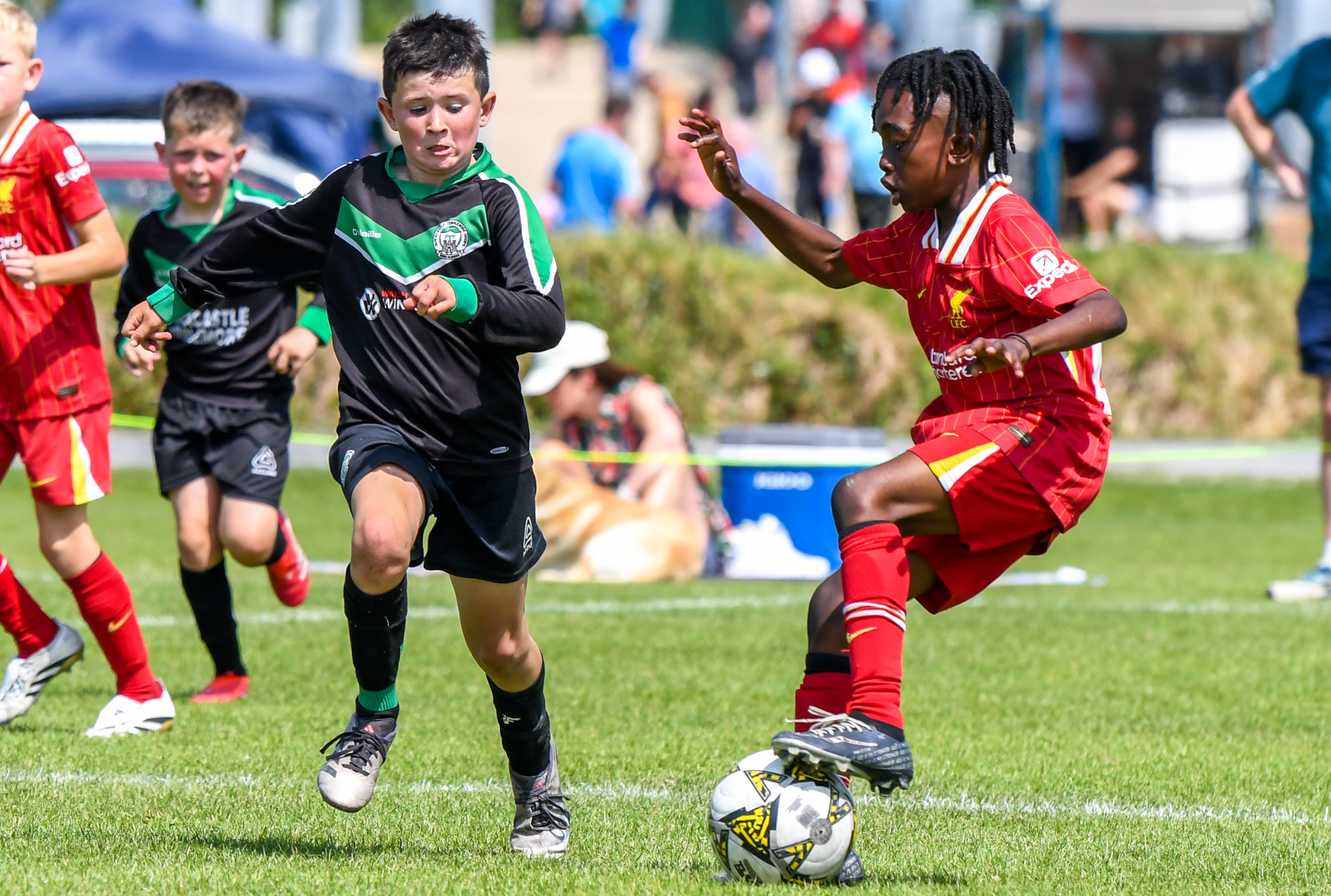 A group of young boys are playing soccer on a field.