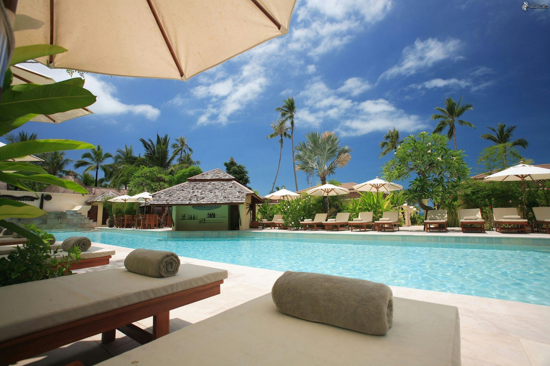Lounge chairs by a pool under parasols with bar in background, palm trees, sunny blue sky.