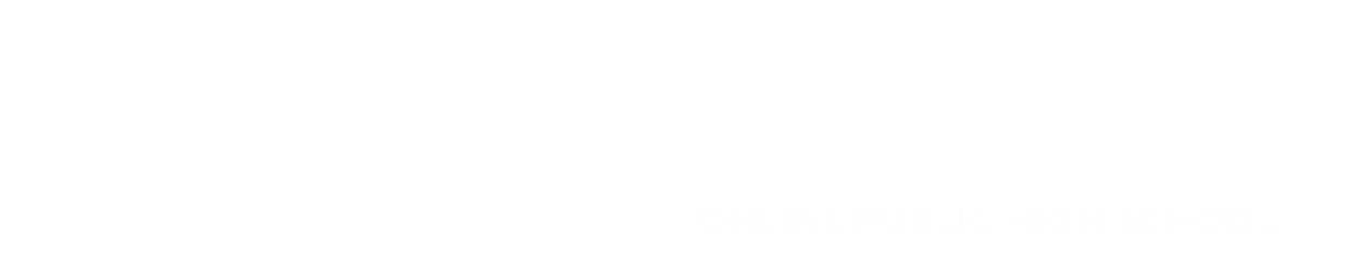 Michigan Cyber Academy logo in all white.