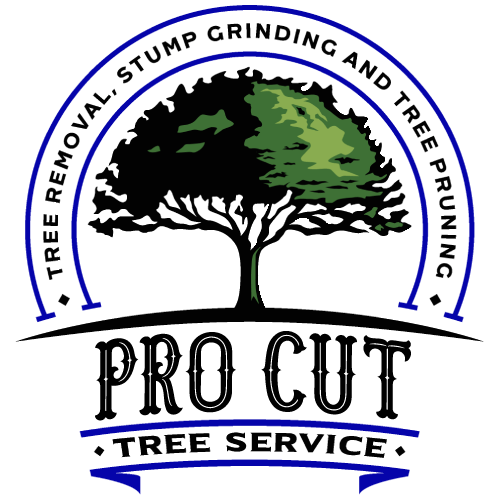 Professional Tree Cutting Services - Family Tree Services, Inc.