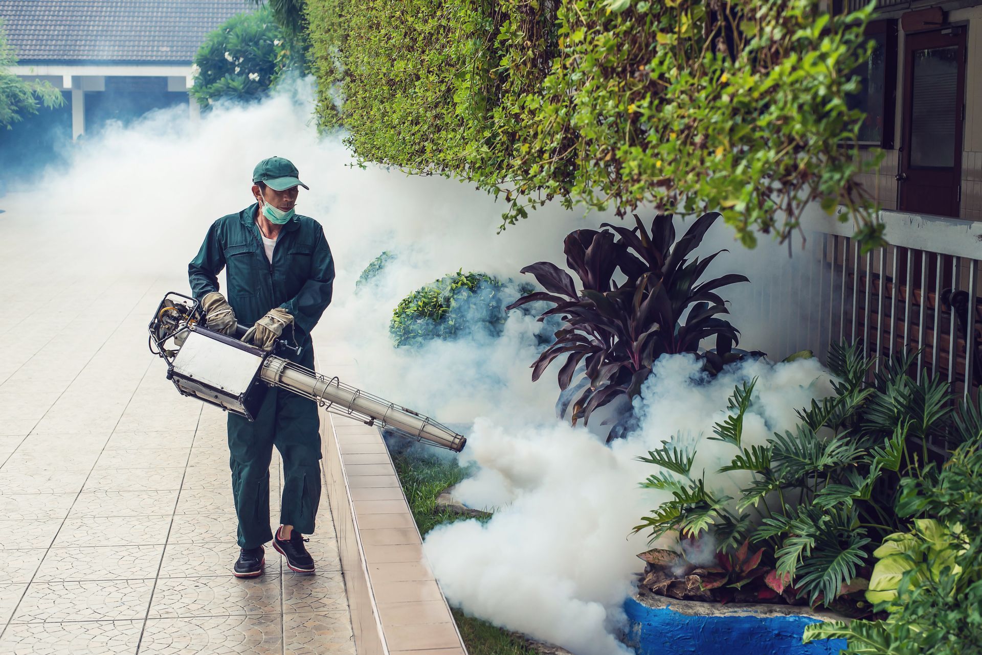 A man is spraying a garden with a fog machine.