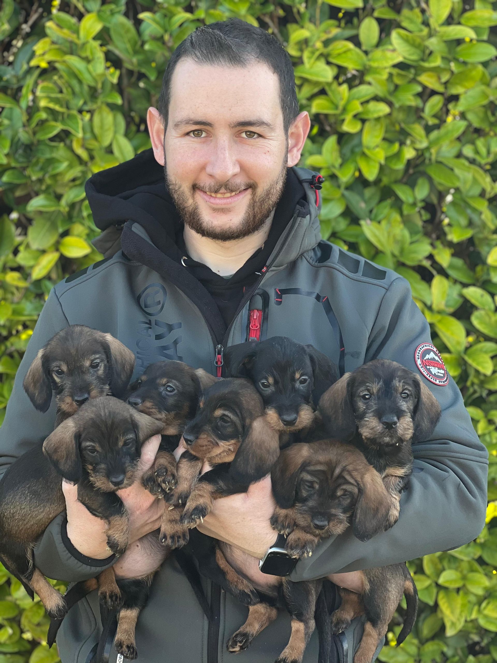 Un uomo tiene in mano un gruppo di cuccioli.