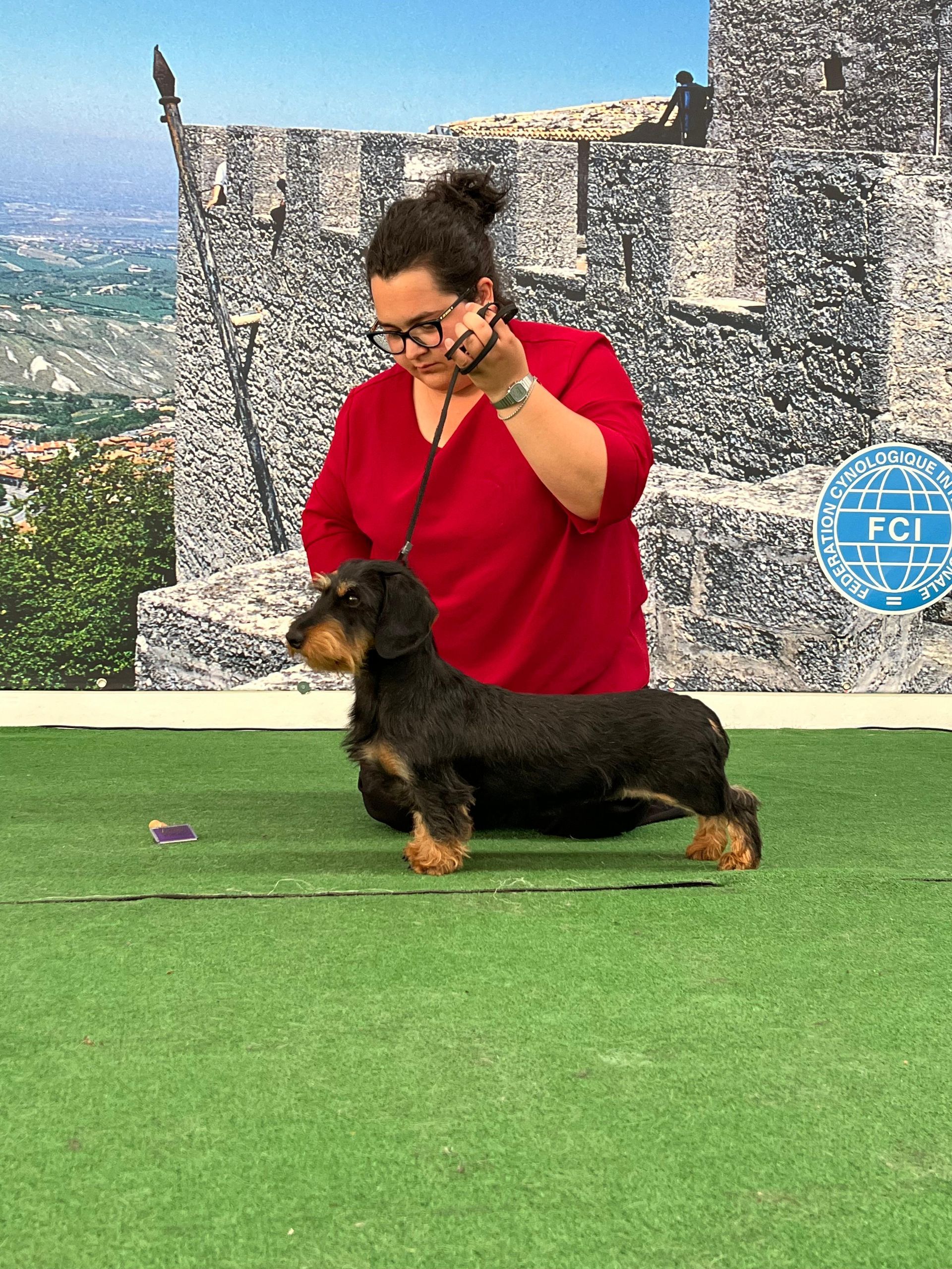 Una donna è inginocchiata accanto a un bassotto al guinzaglio.