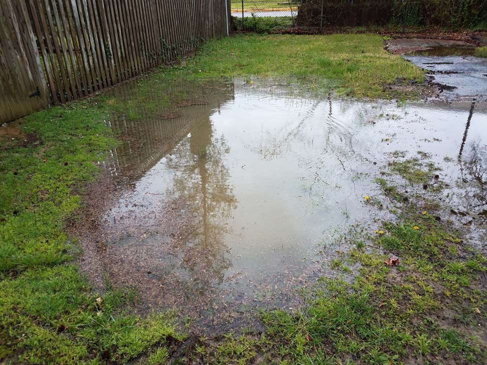 Large Puddle on Lawn — Plumbers in Harlaxton, QLD