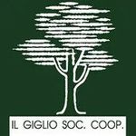 Il Giglio - logo