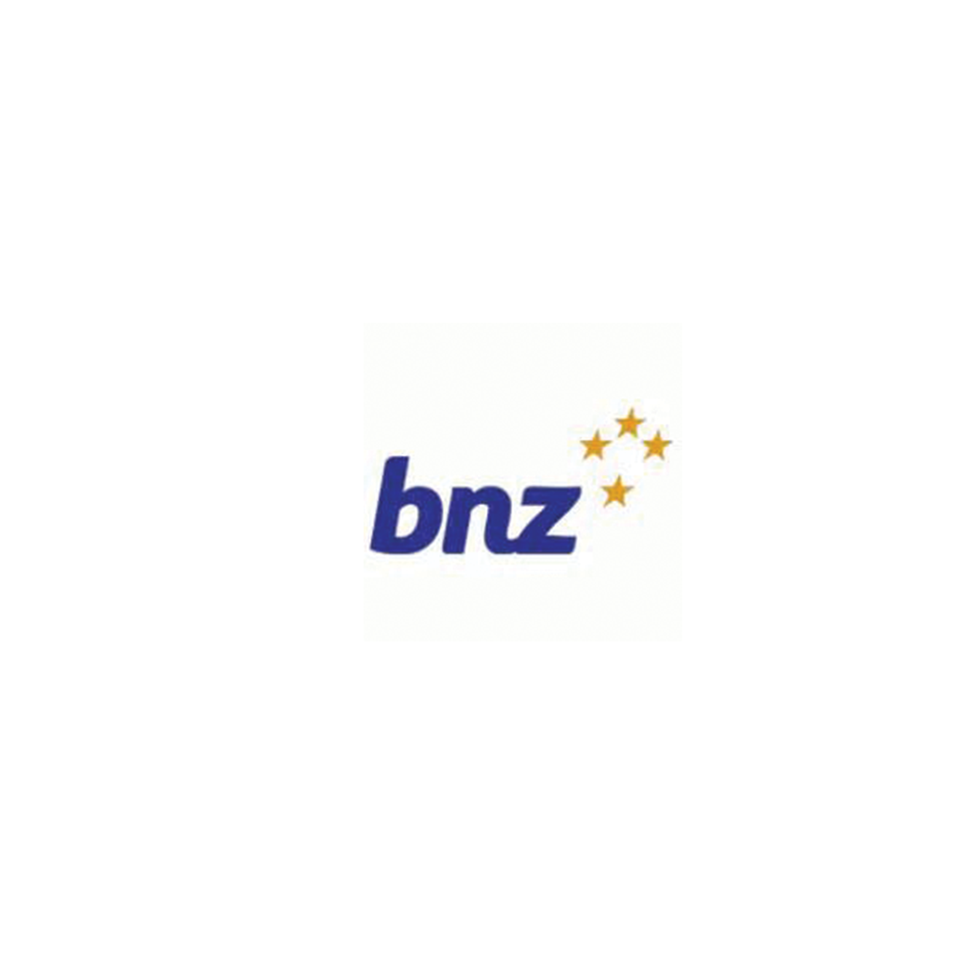 The bnz logo is blue and has three stars on it.