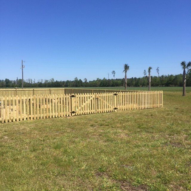 A wooden fence surrounds a grassy field with palm trees in the background