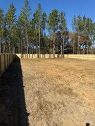 Grassy field beside a wooden fence and tall pine trees under a clear blue sky