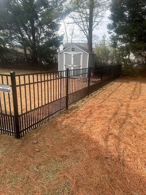 A metal fence surrounds a yard with a shed in the background.