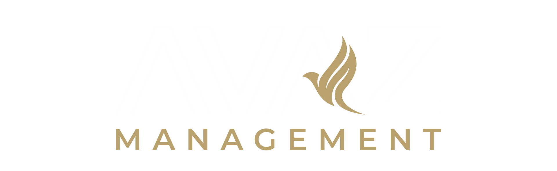 Avaz Management Logo