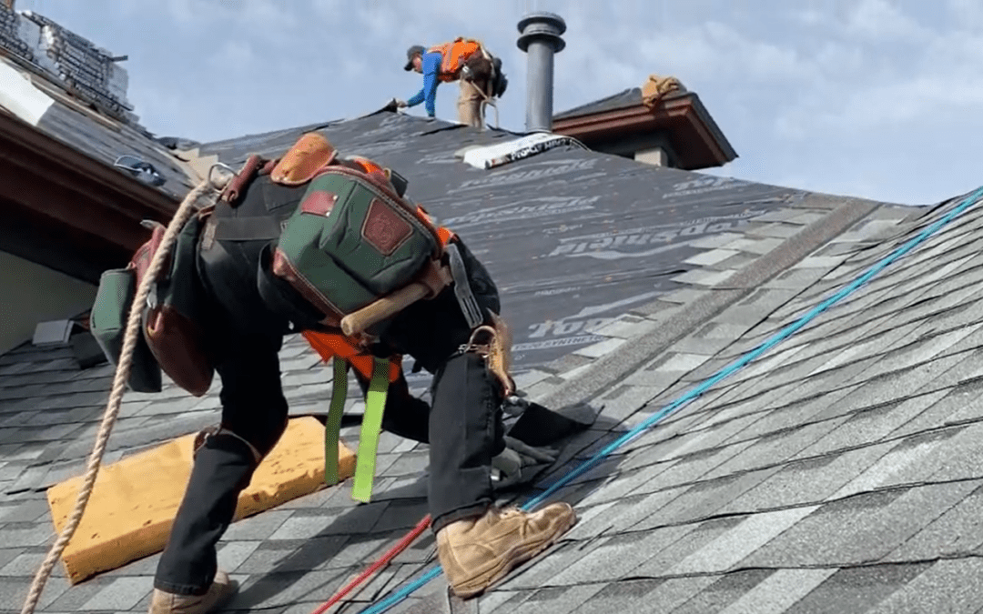 Navigating Roofing Warranties: What Every Homeowner Should Know From Their Roofer