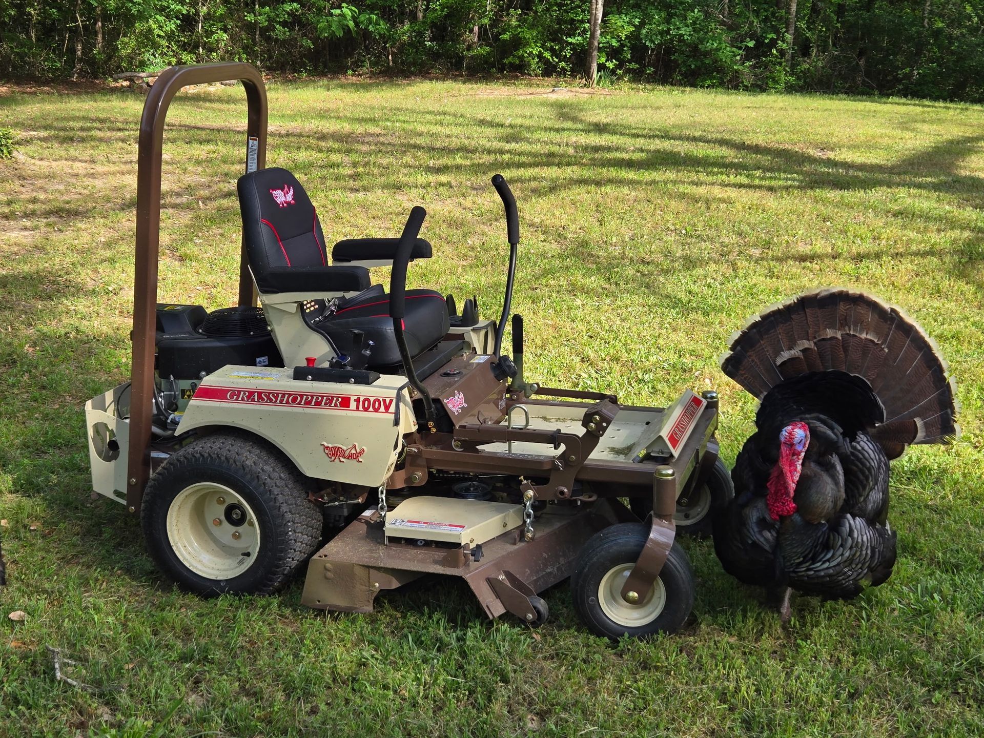 A lawn mower is parked next to a turkey in the grass.