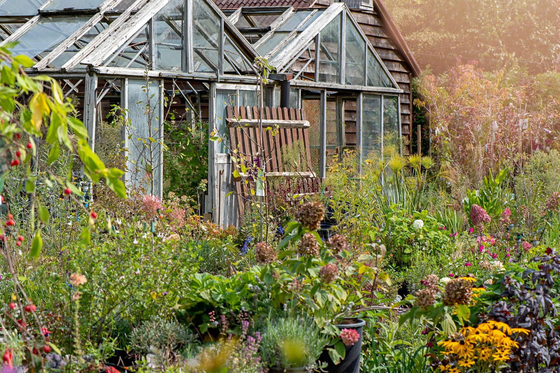 A greenhouse surrounded by flowers and plants in a garden.
