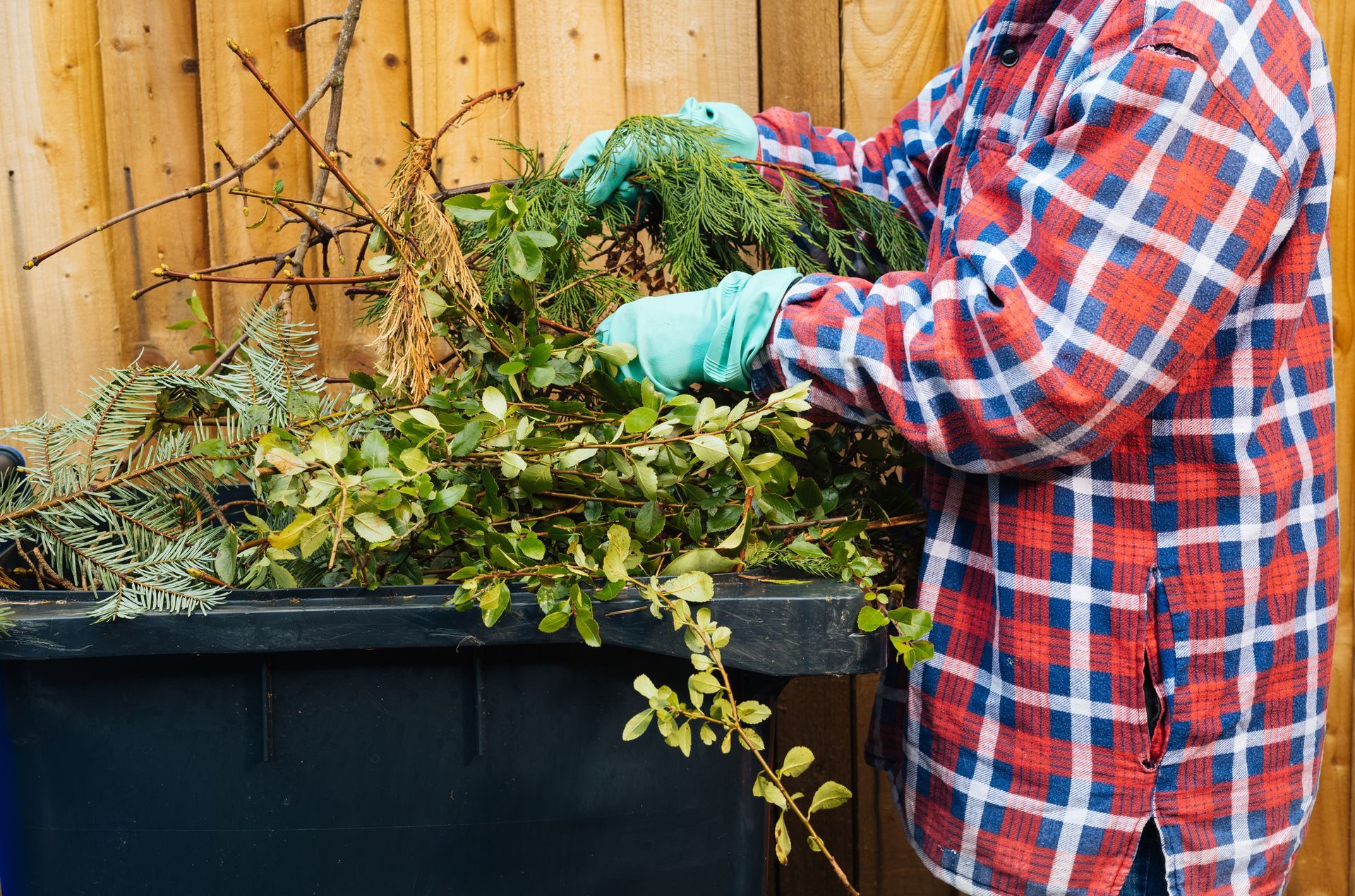A man in a plaid shirt is putting branches into a trash can.