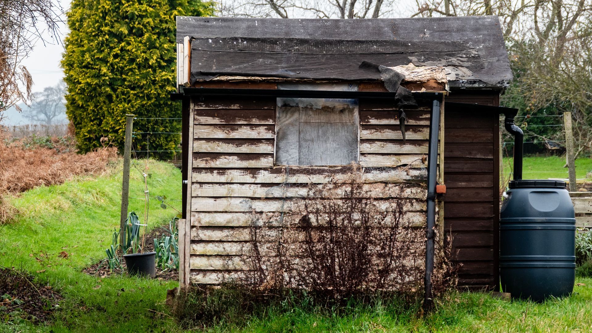 An old wooden shed is sitting in the middle of a grassy field.