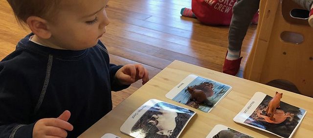 What Are The Best Colour Pencils for Toddlers? We try six toddler and  'first' pencils. - how we montessori