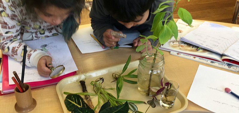 two second grade children examining different plant parts