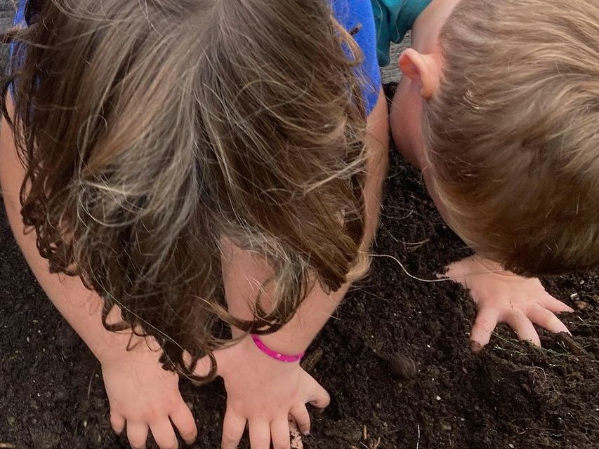 image looking down on children's heads as they dig their hands into dark soil