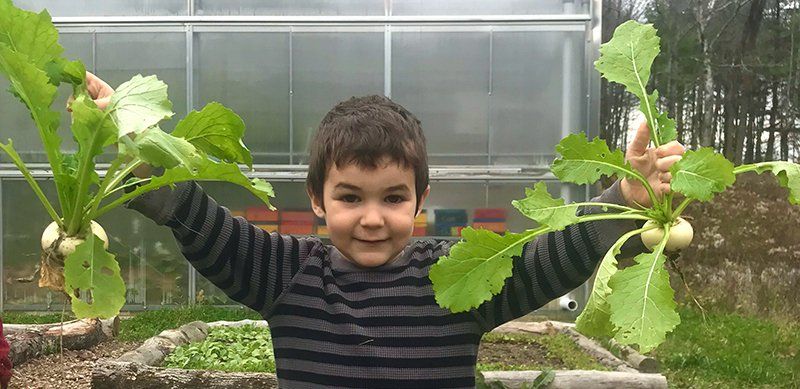 preschool aged child holding turnips by their leaves, in outstretched arms