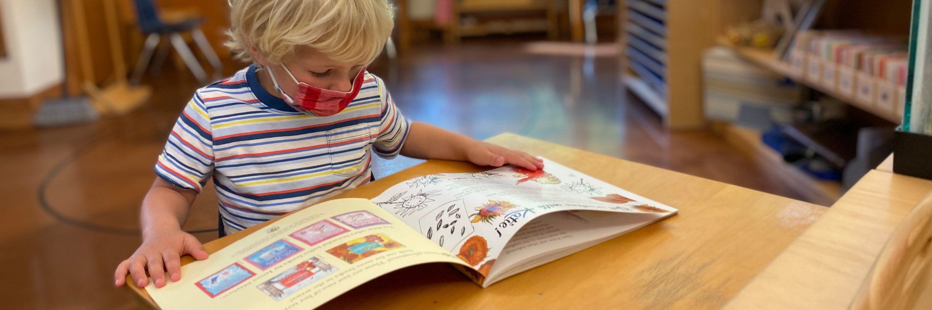 preschool aged child enthralled with a large book