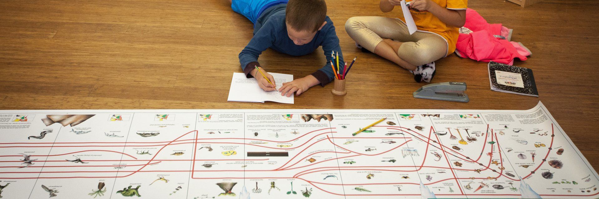 two elementary children on the floor with the timeline of life