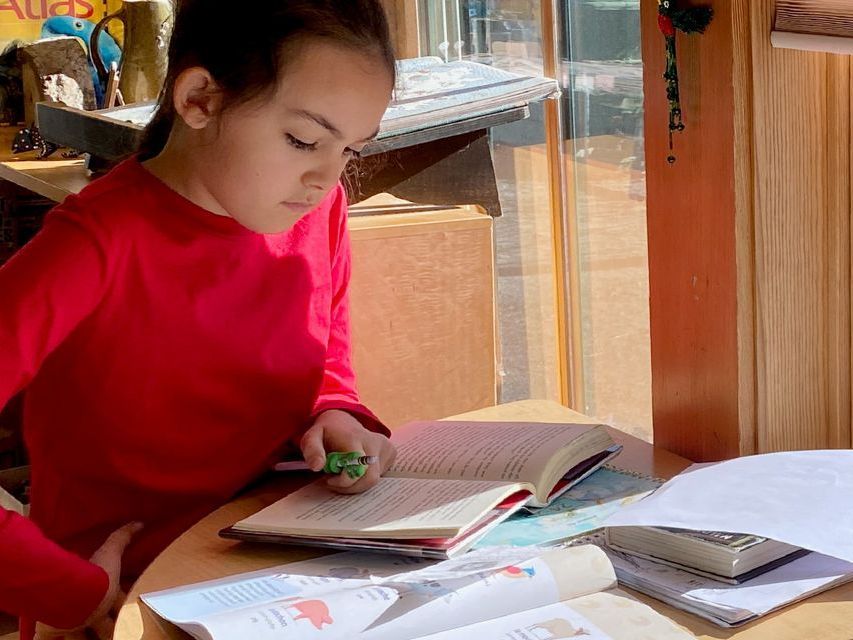 An elementary child sitting at a table with open books