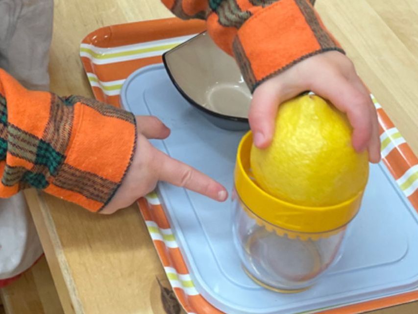 Close up image of a young toddler's hands working with a lemon and a juicer