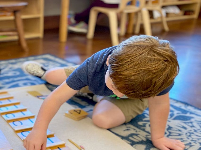 Image of a preschool child sitting on the floor on a carpet working with picture cards