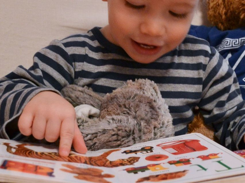 image of a toddler sitting with a picture book in their lap, pointing at an image of a tiger