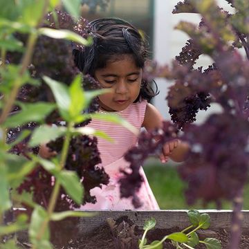 pre-schooler in the garden