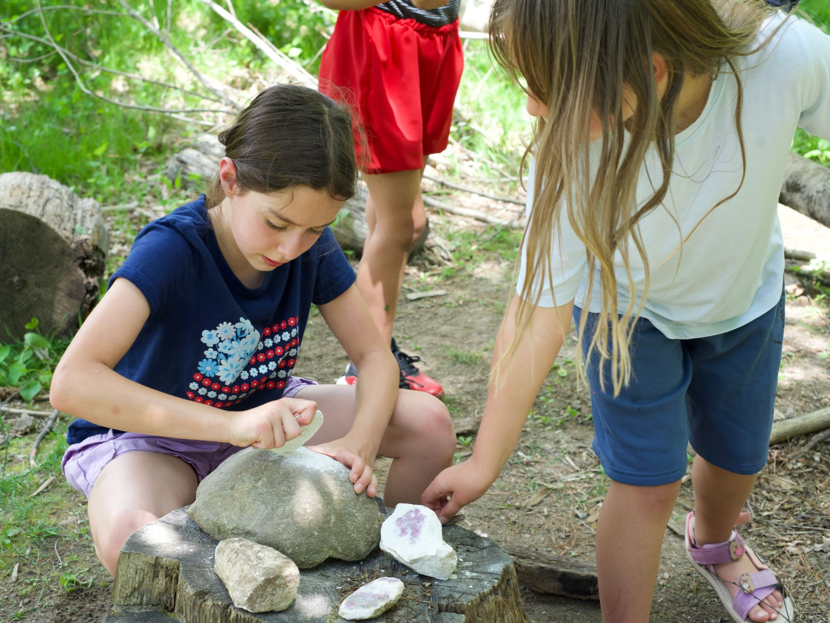 Image of an elementary aged girl squatting next to a stump with a variety of differently sized rocks