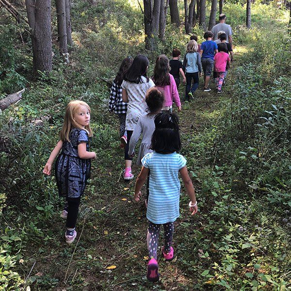Children walking in woods