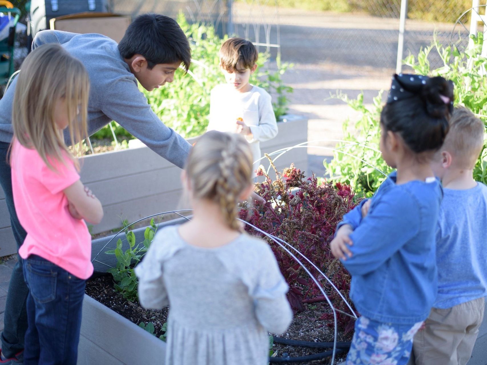 A group of preschool aged children standing around a raised garden box