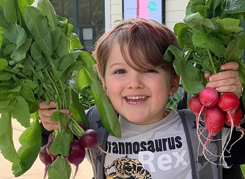 smiling preschool aged child holding up two bunches of radishes
