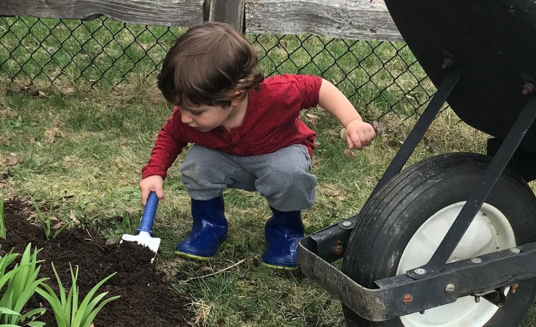 Toddler shoveling dirt with a small trowel