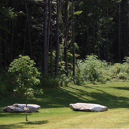 Grassy field with large rocks and trees