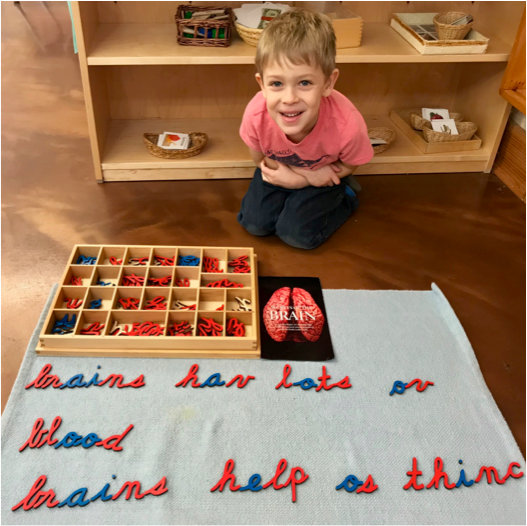 Children's House (pre-K) boy with moveable alphabet