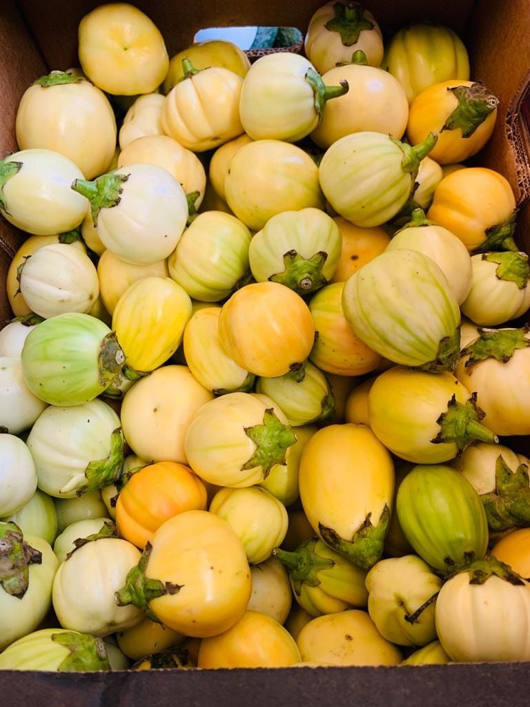 Un mucchio di zucche a strisce gialle e verdi con piccoli steli fogliosi, impilate una sull'altra.