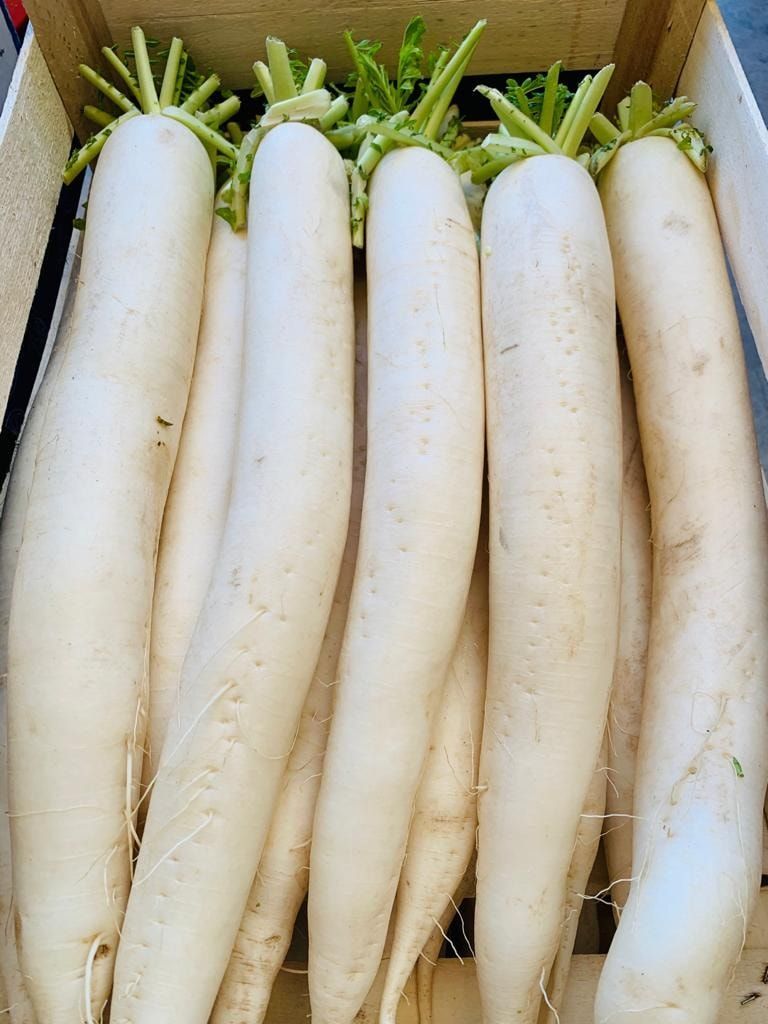 Cinque ravanelli daikon bianchi con la parte superiore verde in una scatola di cartone