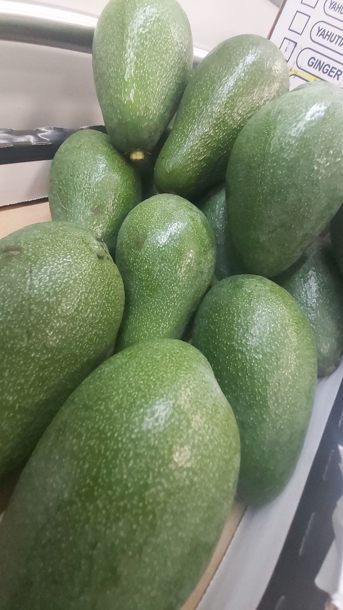 Un mucchio di avocado verdi in un vassoio, maculati e dall'aspetto fresco.