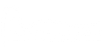 Valley Radiologists and Associates logo