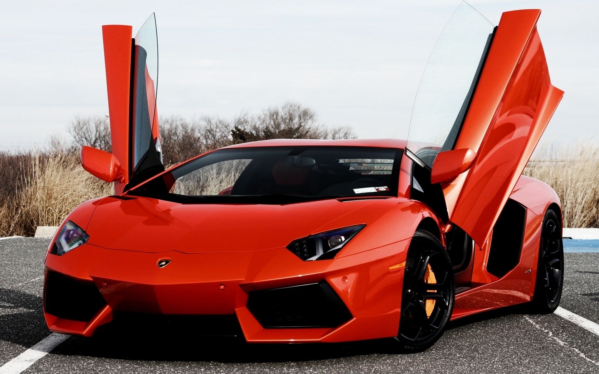 A red lamborghini with its doors open