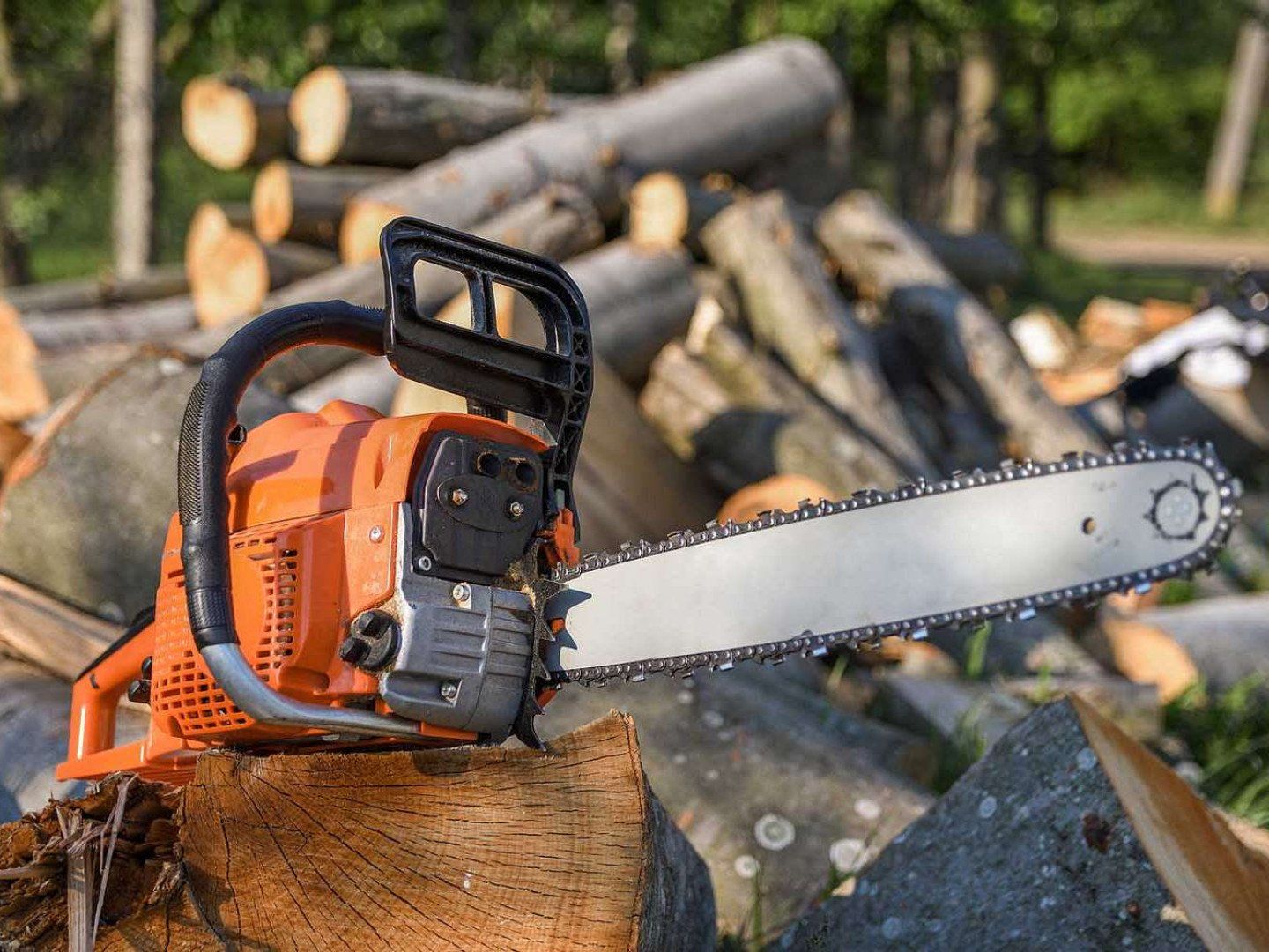 chainsaw and log
