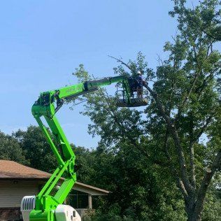 tree trimming