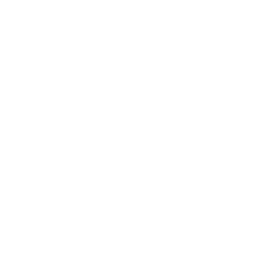 TikTok Logo