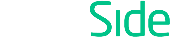 DataSide reversed logo