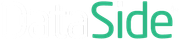 DataSide reversed logo